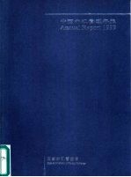 中国外汇管理年报 1999