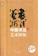 中国书法艺术图鉴 图文并茂 历代书法杰作作品 细说中国书法 书法艺术荟萃图书