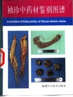 袖珍中药材鉴别图谱