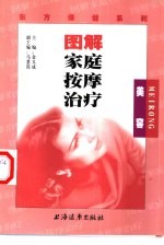 图解家庭按摩治疗 美容