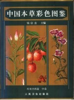 中国本草彩色图鉴 常用中药篇 中
