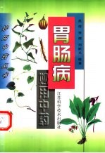 胃肠病妙用中药