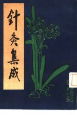 针灸集成