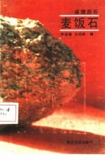 健美药石-麦饭石