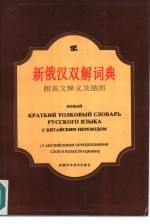 新俄汉双解词典