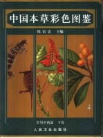 中国本草彩色图鉴 常用中药篇 下