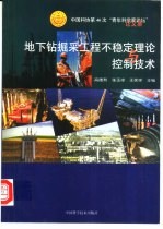 地下钻掘采工程不稳定理论与控制技术 中国科协第46次“青年科学家论坛”论文集