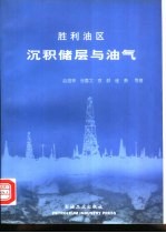胜利油区沉积储层与油气