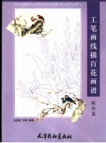 工笔画线描百花画谱 秋冬篇