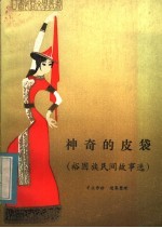 神奇的皮袋