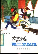 大盗贼第二次出现