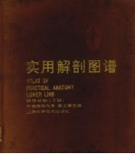 实用解剖图谱 四肢分册 下肢