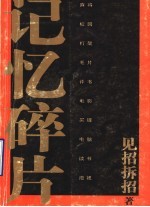 记忆碎片