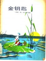 金钥匙 又名,小偶布拉蒂诺历险记