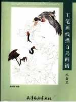 工笔画线描百鸟画谱 水禽篇