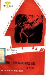 汤姆·沙耶历险记 缩写本
