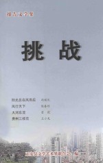 报告文学集 挑战