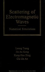 Scattering of electromagnetic waves : numerical simulations
