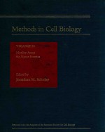 Methods in cell biology volume 39 motility assays for motor proteins