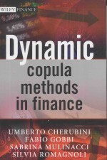 Dynamic Copula Methods in Finance