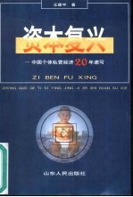 资本复兴 中国个体私营经济20年速写
