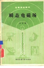 瞬态电磁场
