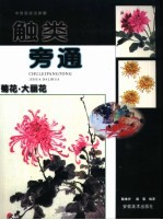 触类旁通 中国画技法新解 菊花·大雨花