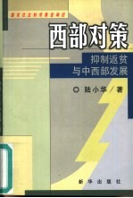 西部对策 仰制返贫与中西部发展
