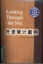 外资审计案例