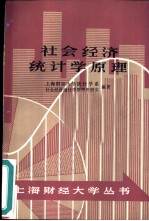 社会经济统计学原理