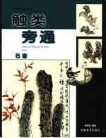 触类旁通 中国画技法新解 石谱