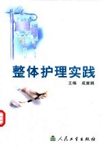 整体护理实践