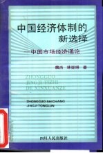 中国经济体制的新选择 中国市场经济通论
