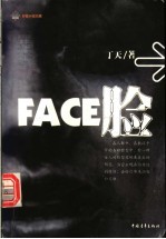 脸 长篇小说