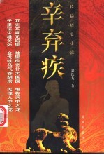 辛弃疾 长篇历史小说