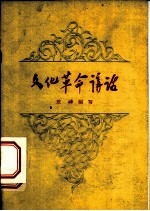 文化革命讲话