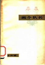 两个队长