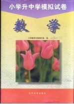 小学升中学数学模拟试卷