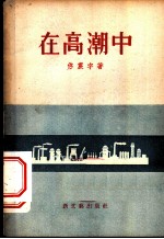 在高潮中 短篇小说集