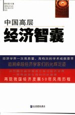 中国高层经济智囊