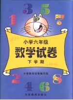 小学六年级数学试卷 下学期
