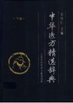 中华医方精选辞典 下