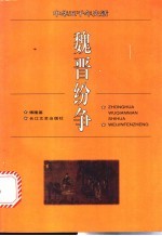 魏晋纷争