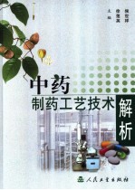 中药制药工艺技术解析