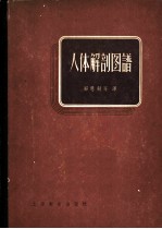 人体解剖图谱