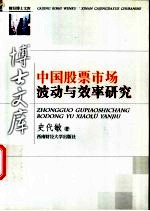 中国股票市场波动与效率研究