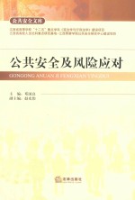公共安全及风险应对