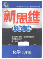新思维培优训练 化学 九年级