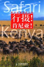 野生动物摄影之旅 行摄!肯尼亚!
