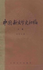 中国新文学史初稿 上